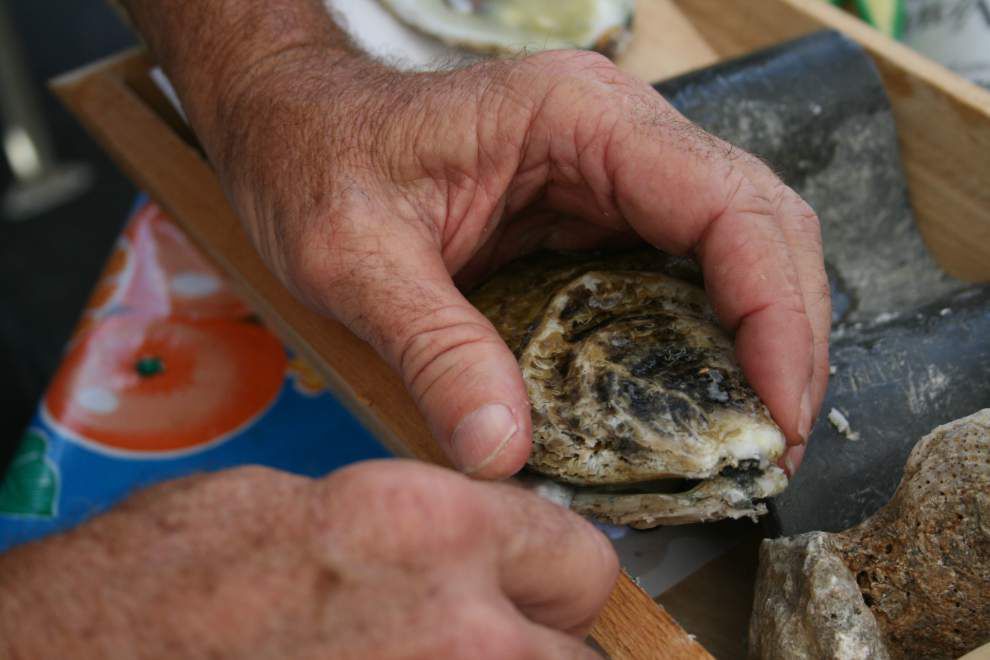 As oyster season revs up, new type of Gulf oyster turning heads in New Orleans _lowres